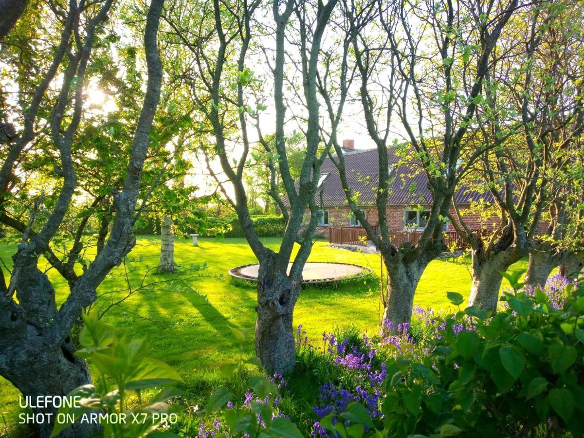 Lilleledgaard Country House Ringkøbing Esterno foto