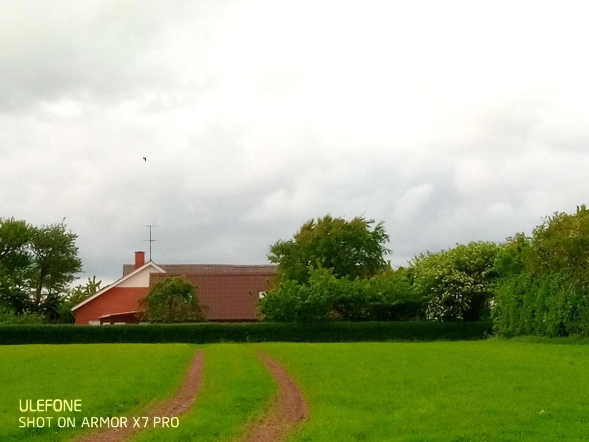 Lilleledgaard Country House Ringkøbing Esterno foto